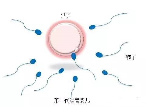 王主任